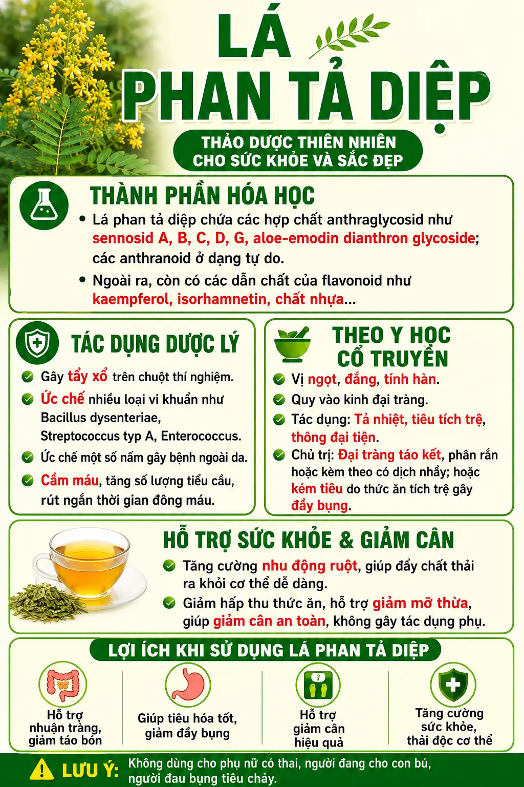 tác dụng phan tả diệp