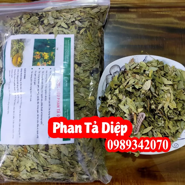 Công Dụng Của Phan Tả Diệp Là Gì  Và Hướng Dẫn Cách Sử Dụng 