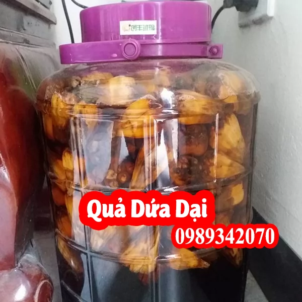 Công Dụng Của Quả Dứa Dại Và Hướng Dẫn Cách Dùng