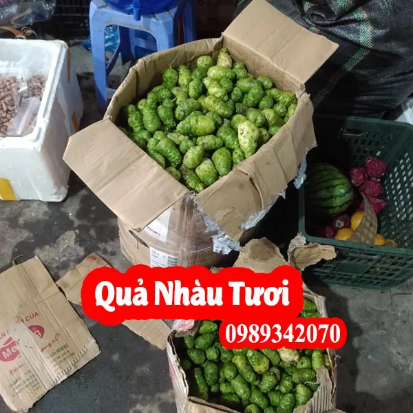 Mua Trái Nhàu Khô Ở Đâu Tốt? Công Dụng Cho Người Đau Nhức Xương Khớp & Bảng Giá Mới Nhất