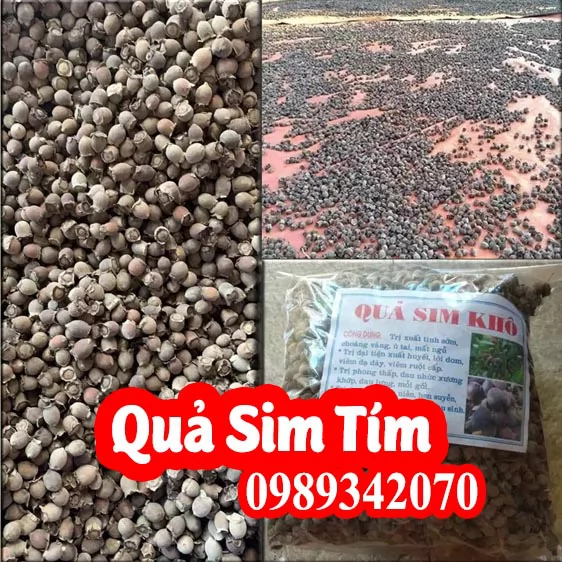 Hướng Dấn Sử Dụng Quả Sim Tím Và Cách Dùng