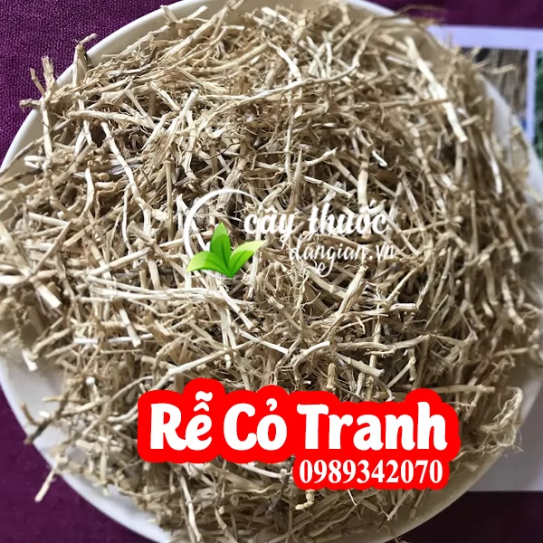 Hướng Dẫn Sử Dụng Rễ Cỏ Tranh Và Địa Chỉ Mua Uy Tín