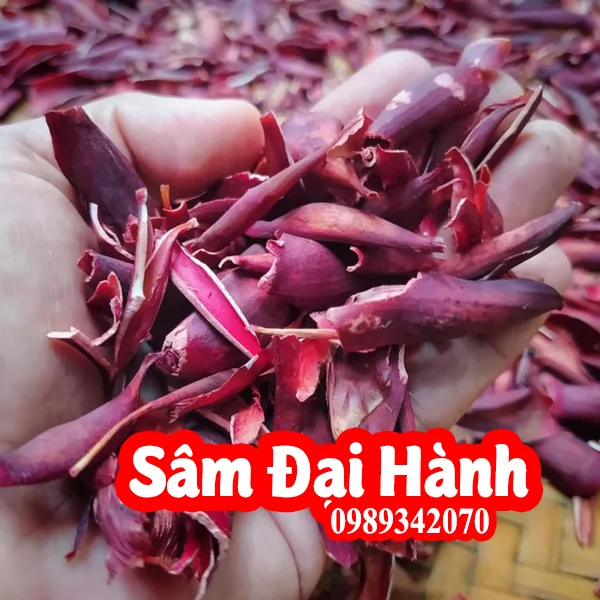 Hướng Dẫn Sử Dụng Củ Sâm Đại Hành Và Công Dụng Của Nó Là Gì