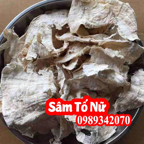 Sâm Tố Nữ Và Mua Sâm Tố Nữ Ở Đâu