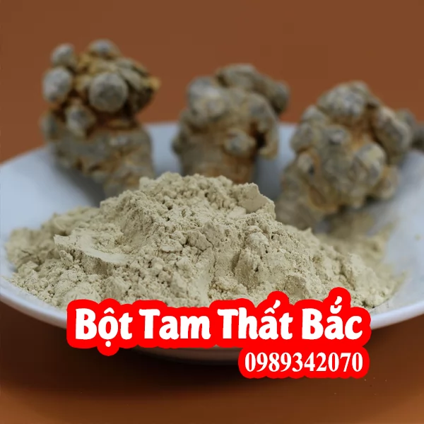 Tam thất Bắc hay Kim bất hoán mua củ tam thất ở đâu tốt