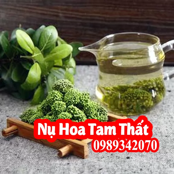 Nụ tam thất bao tử Hòa Bình loại xanh non hạng 1