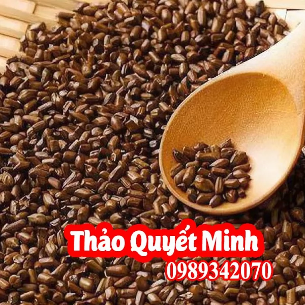 Thảo quyết minh (Hạt muồng muồng) Có Tác Dụng Gì Và Mua Ở Đâu