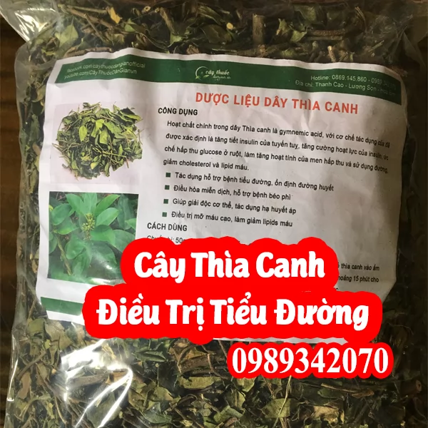 Mua Dây Thìa Canh Khô Ở Đâu Uy Tín? Giải Pháp Cho Người Đường Huyết Cao & Bảng Giá Mới Nhất