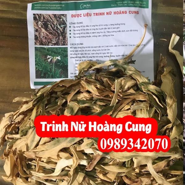 Công Dụng Cây Trinh Nữ Hoàng Cung Và Mua Ở Đâu