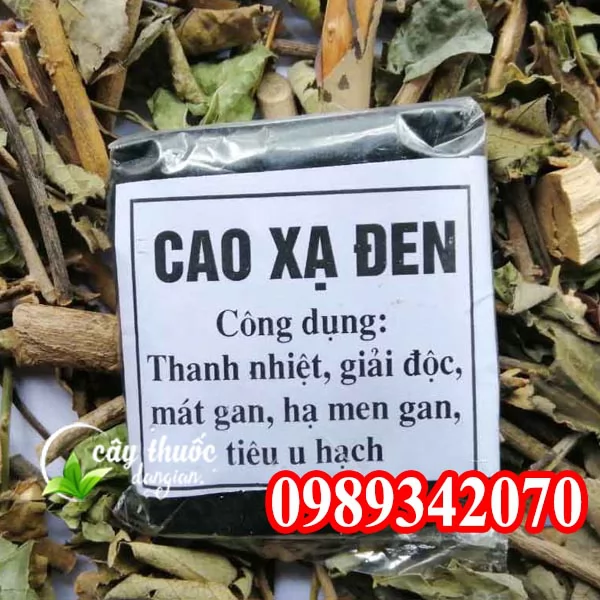 Mua Cây Xạ Đen Hoà Bình Ở Đâu Và Hướng Dẫn Sử Dụng Cách Dùng