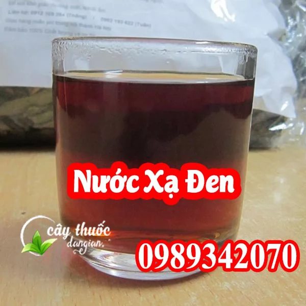 Mua Cây Xạ Đen Hoà Bình Ở Đâu Và Hướng Dẫn Sử Dụng Cách Dùng