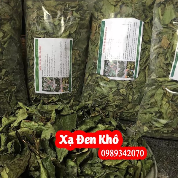Mua Cây Xạ Đen Hoà Bình Ở Đâu Và Hướng Dẫn Sử Dụng Cách Dùng