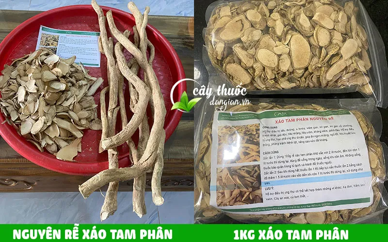 rễ xáo tam phân