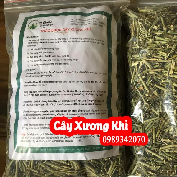 Mua Cây Xương Khỉ (Bìm Bịp) Ở Đâu Uy Tín? Công Dụng Cho Xương Khớp, Người có khối u & Bảng Giá Mới Nhất