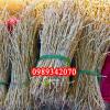Hướng Dẫn Sử Dụng Rễ Cỏ Tranh Và Địa Chỉ Mua Uy Tín