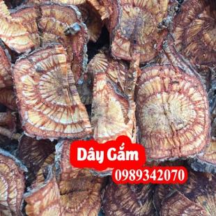 Dây gắm rất tốt cho người mắc bệnh Gút, xương khớp