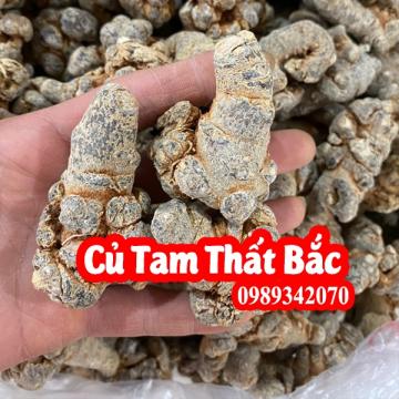 Tam thất Bắc hay Kim bất hoán mua củ tam thất ở đâu tốt