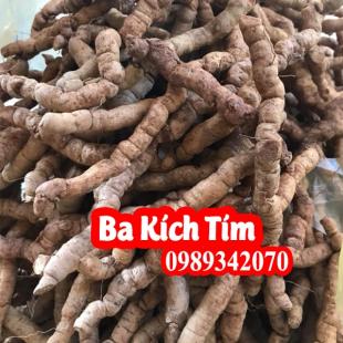 Ba kích Tím (loại tươi Nguyên củ) và ba kích khô loại 1