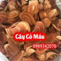 Cây cỏ máu thuốc quý bồi bổ sức khỏe, giúp tăng cân hiệu quả