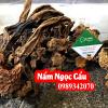 Công Dụng Của Nấm Ngọc Cẩu Và Địa Chỉ Bán Uy Tín