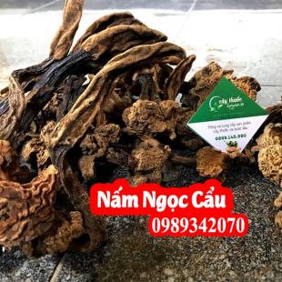 Nấm ngọc cẩu Hòa Bình bổ thận tráng dương cực mạnh