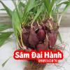Hướng Dẫn Sử Dụng Củ Sâm Đại Hành Và Công Dụng Của Nó Là Gì