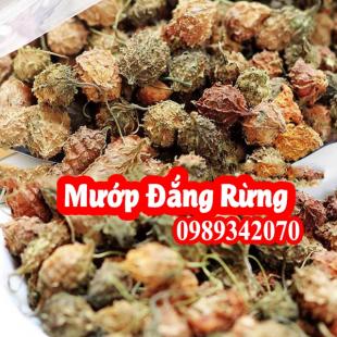 Mướp đắng rừng (Khổ qua rừng) điều trị huyết áp cao, tiểu đường 