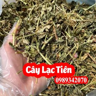 Cây lạc tiên vị thuốc an thần, điều trị mất ngủ