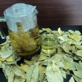 Chè dung cây thuốc quý tốt cho tiêu hóa