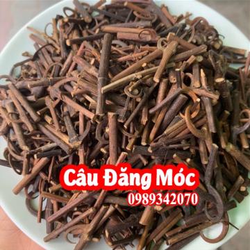 Cây câu đằng hỗ trợ trị bệnh động kinh 