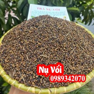 Nụ vối, lá vối hỗ trợ điều trị bệnh đường ruột và kích thích tiêu hóa