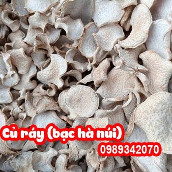 Cây Bạc Hà Núi (củ ráy) Có Tác Dụng Gì Và Mua Ở Đâu