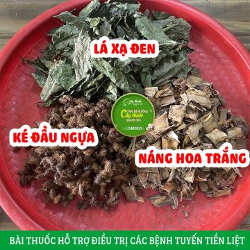 Bài thuốc hỗ trợ điều trị các bệnh lý về tuyến tiền liệt hiệu quả