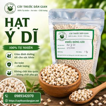 CÂY Ý DĨ – “Lúa mạch của người nghèo” và bài thuốc quý từ thiên nhiên